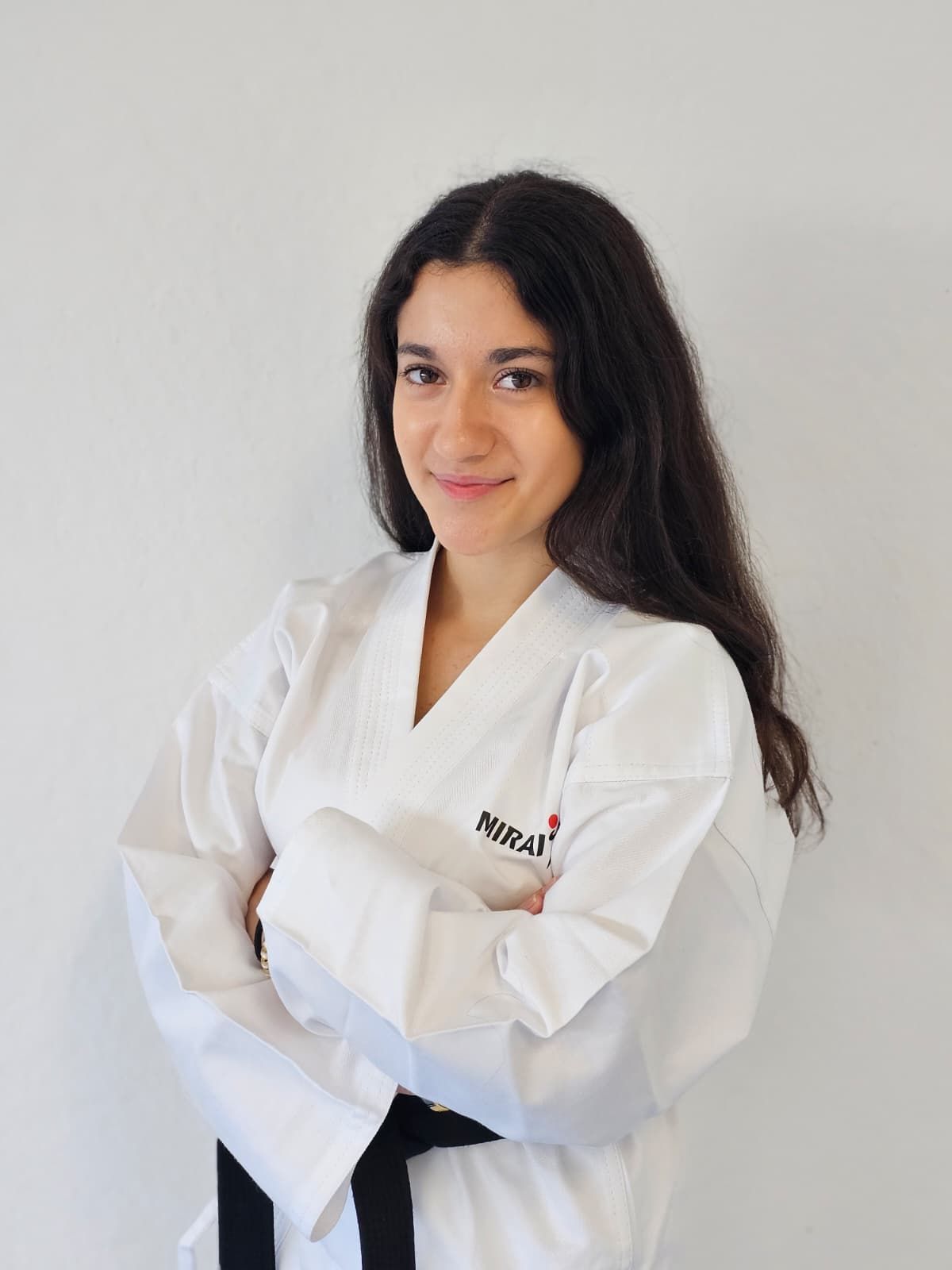 Silhouette einer Person in Karatehaltung, die einen Gi und einen Pferdeschwanz trägt und die Fäuste erhoben hat.