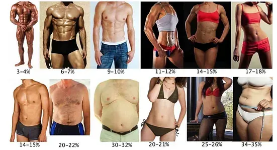 Un collage de fotografías de hombres y mujeres con diferentes tipos de cuerpo.