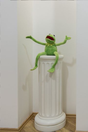 Kermit | Kieferorthopädie M. Patrick Lübbers | Beckum