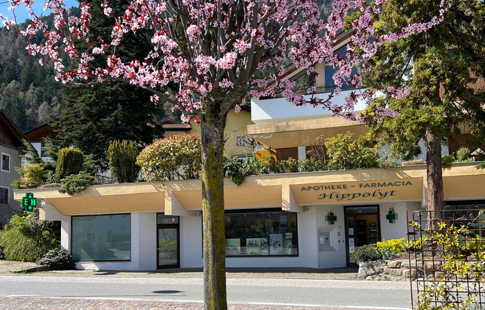 Kleines Gebäude mit beiger Markise hinter rosa blühenden Bäumen an einer sonnigen Straße