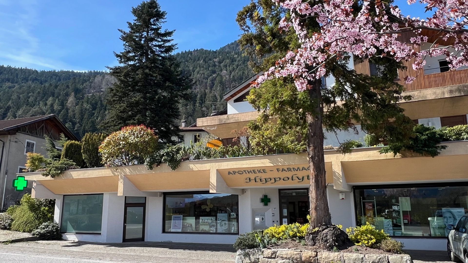 Sonnige Straßenansicht eines niedrigen Ladens mit beiger Markise, einem rosa blühenden Baum und Bergen im Hintergrund