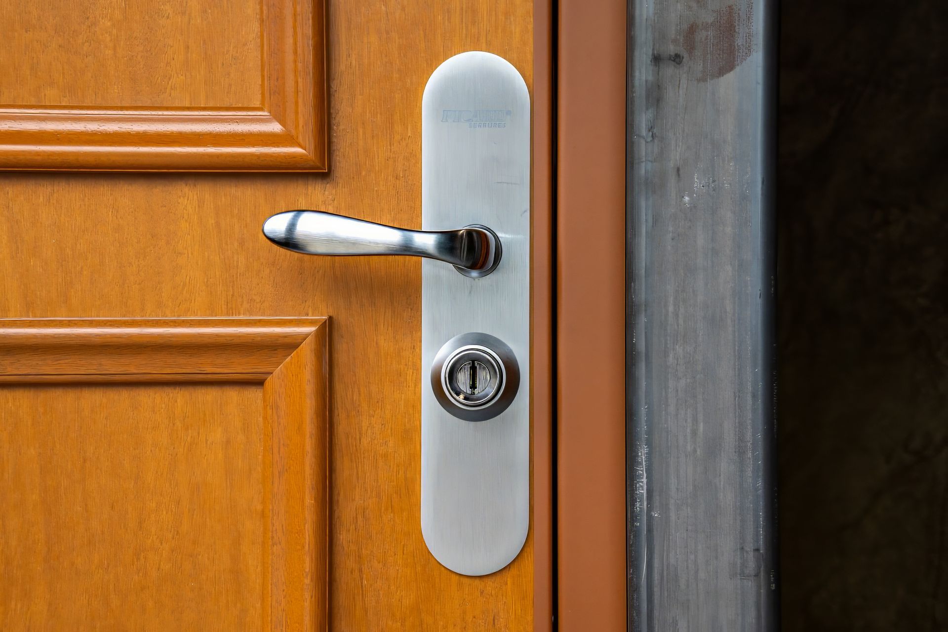 Porte en bois avec poignée et serrure argentées.