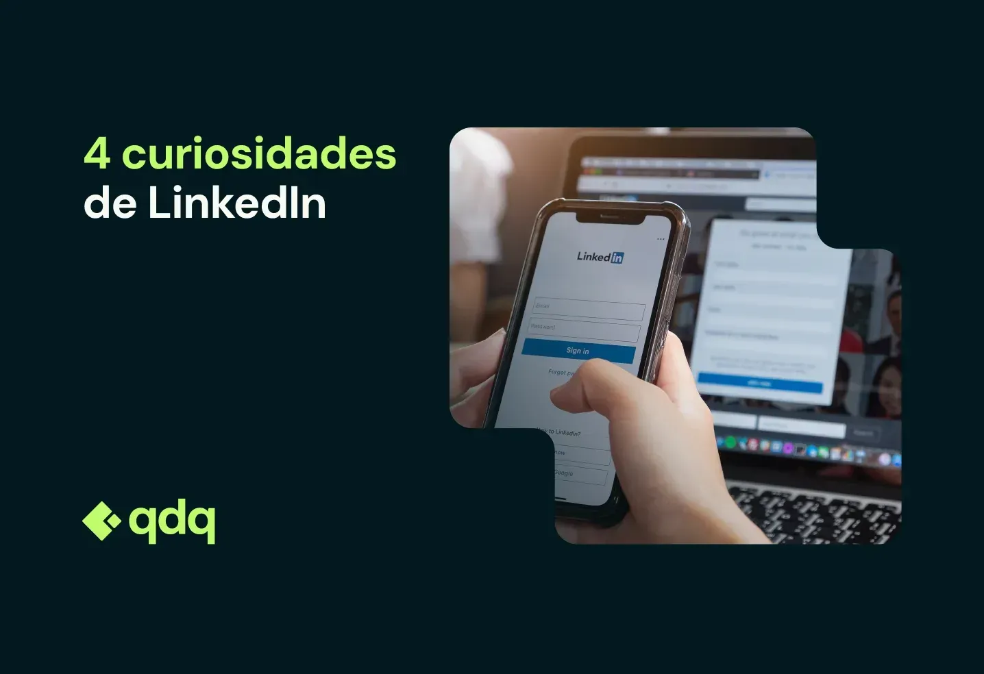 curisosidades de linkedin
