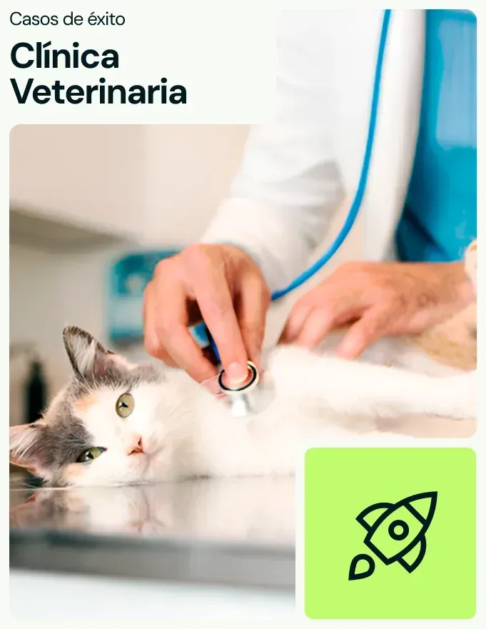 Veterinario escuchando el corazón de un gato con un estetoscopio en una clínica veterinaria.