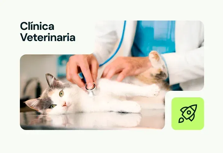 Veterinario examinando a un gato con un estetoscopio en una clínica veterinaria.
