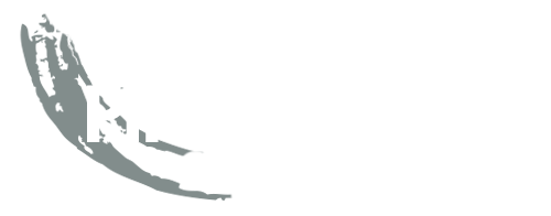 Pintaliitäjät