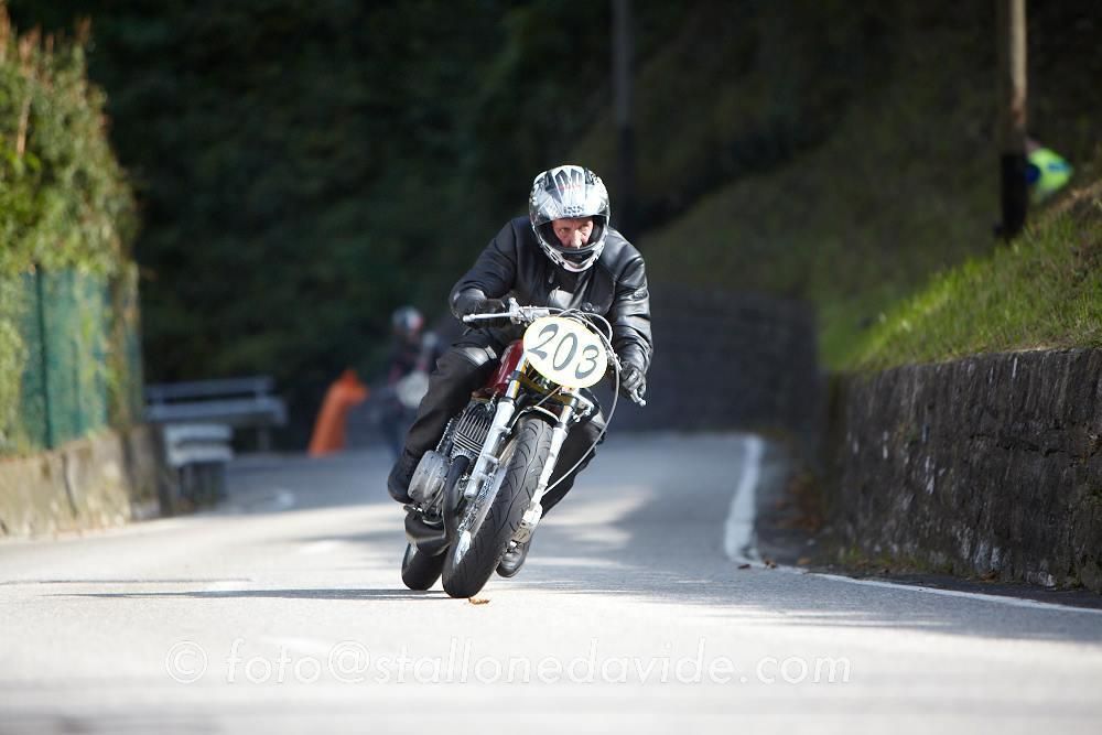 ALDOSUZUKI GABISUZUKI