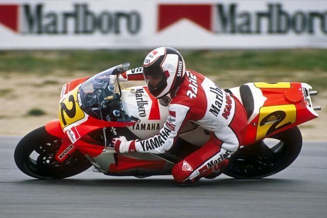 ALDOSUZUKI GABISUZUKI