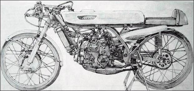 ALDOSUZUKI GABISUZUKI