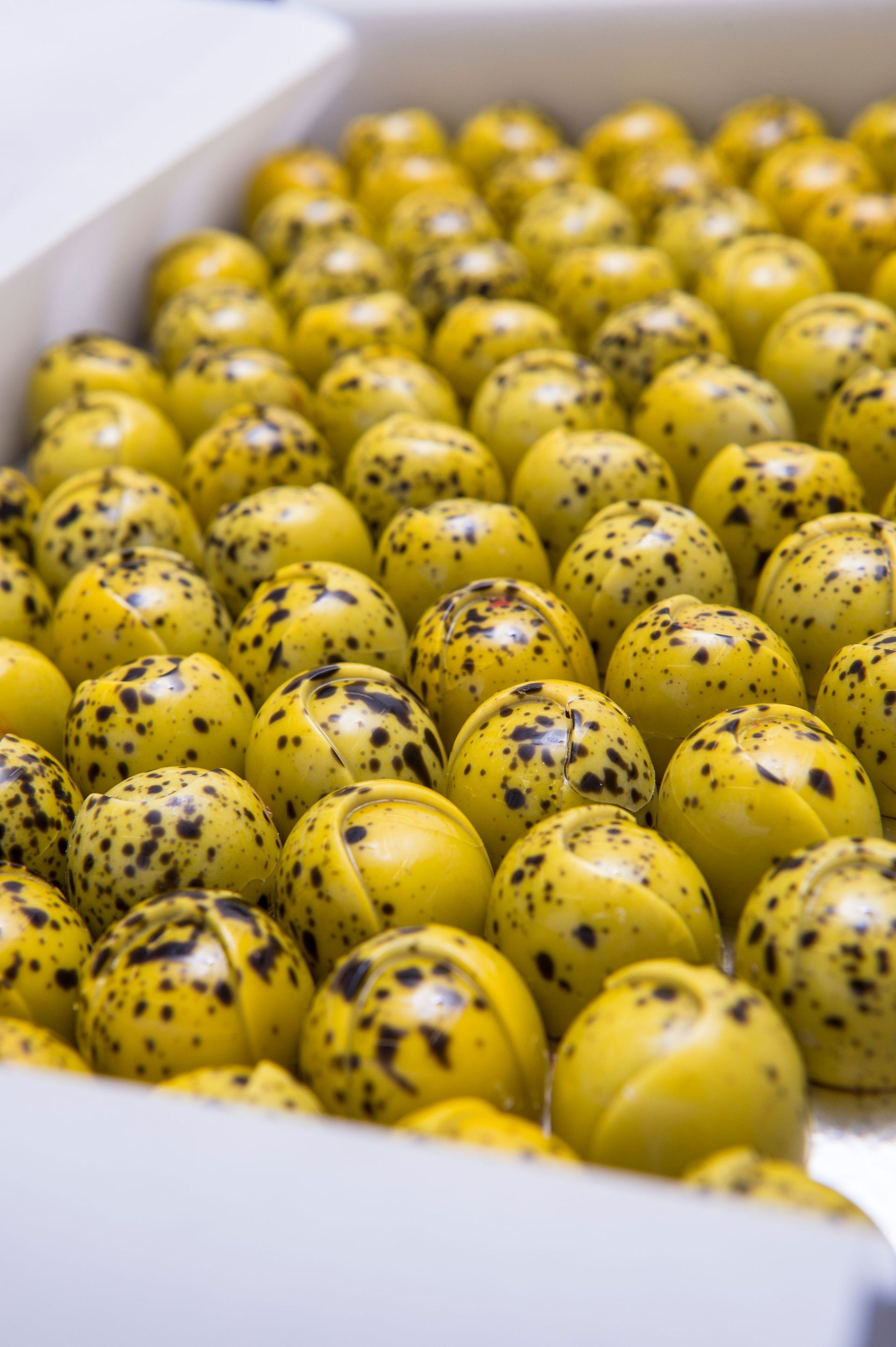 La Chocolaterie de Genève