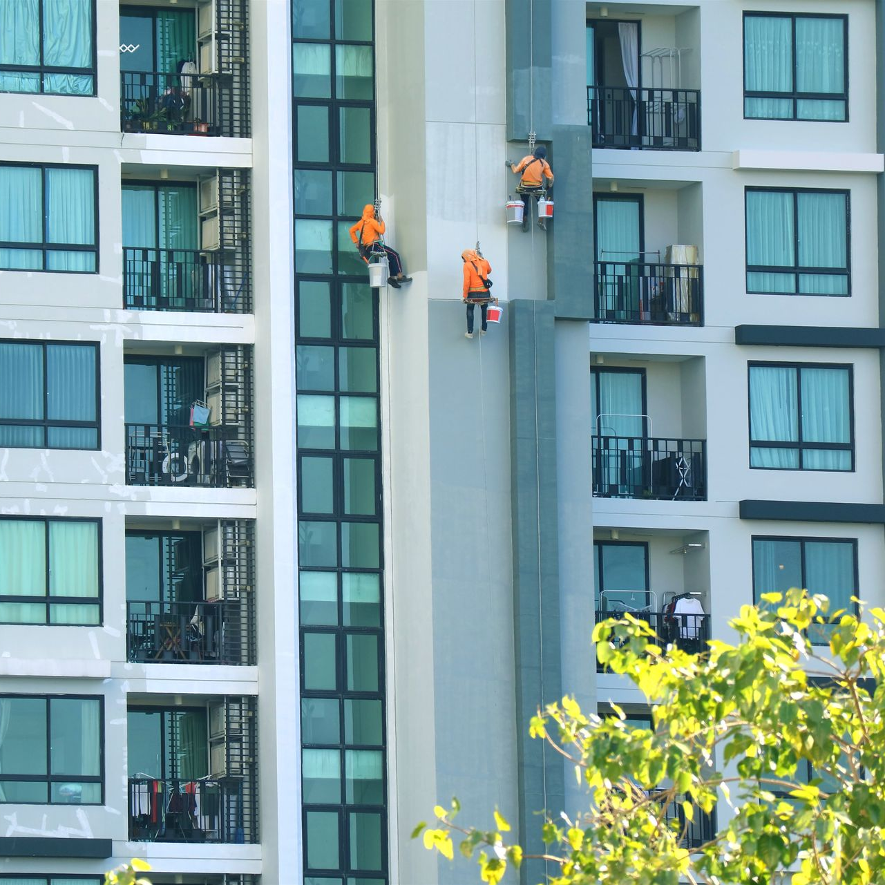 Des ouvriers peignent l'extérieur d'un immeuble de grande hauteur, suspendus par des cordes.