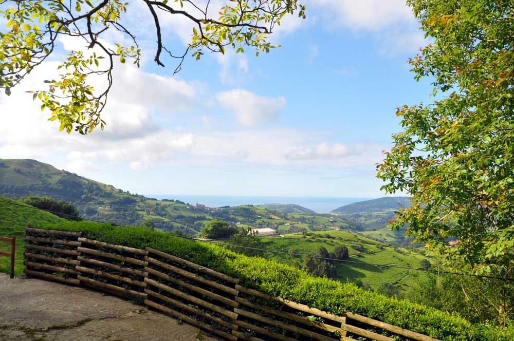 Colinas verdes onduladas con una cerca de madera, cielo azul y océano en la distancia.