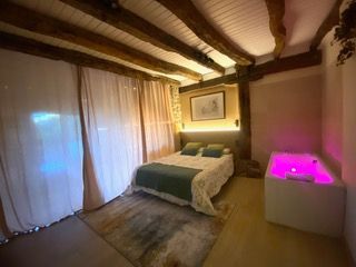 Un dormitorio con una cama y una bañera de hidromasaje.