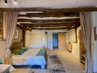 Un dormitorio grande con dos camas y bañera.