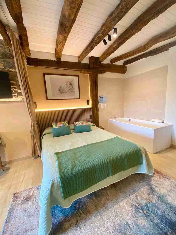 Un dormitorio con una cama y una bañera de hidromasaje.