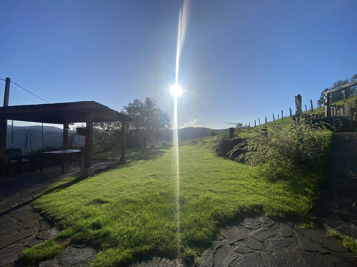 Sol brillante sobre un campo de hierba con un mirador a la izquierda y un pequeño árbol en el centro.