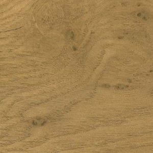 A close up of a piece of wood showing the grain and texture.