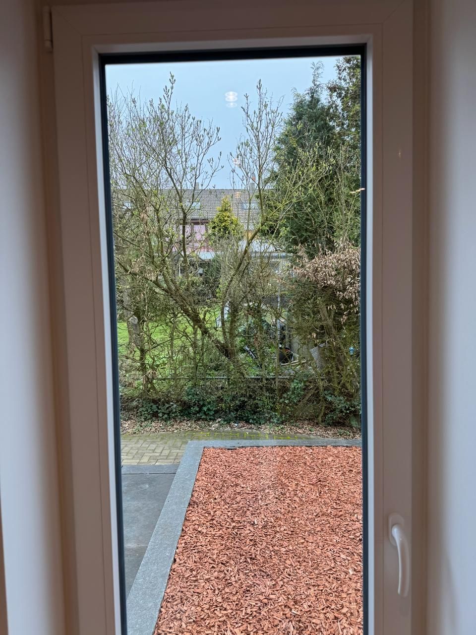 Ein Fenster mit Blick auf einen Garten und Bäume.