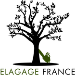 Logo SD Élagage