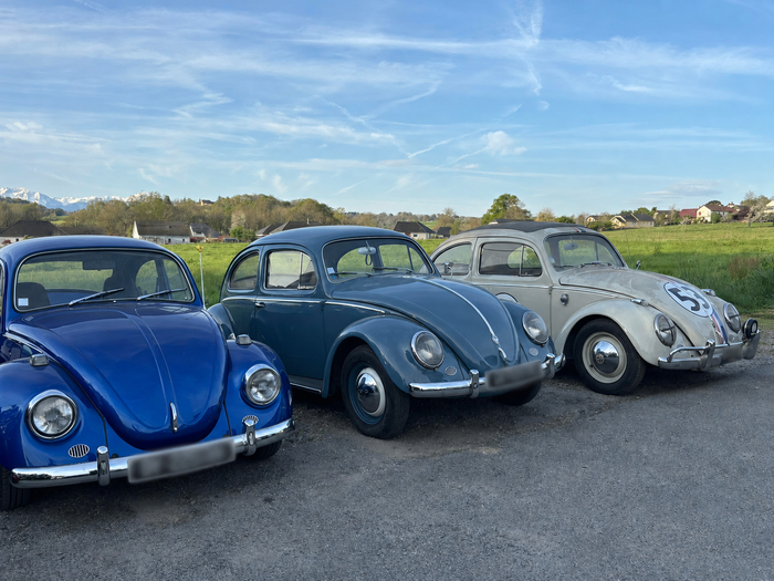 Trois Coccinelles Volkswagen vintage garées en rang d'oignons sur une route sous un ciel bleu.