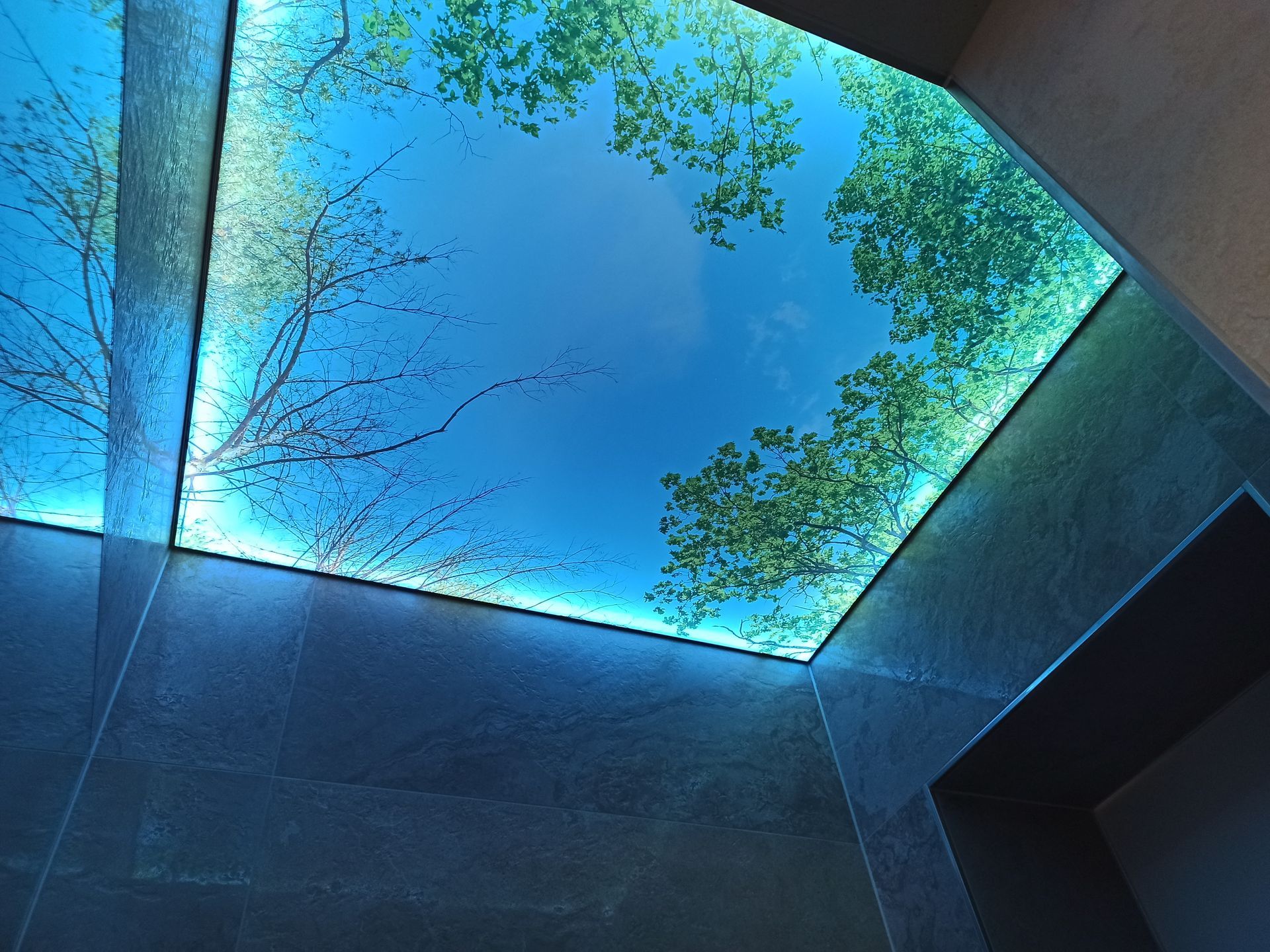 Blaue, leichtende Decke mit Ästen und Baumkronen