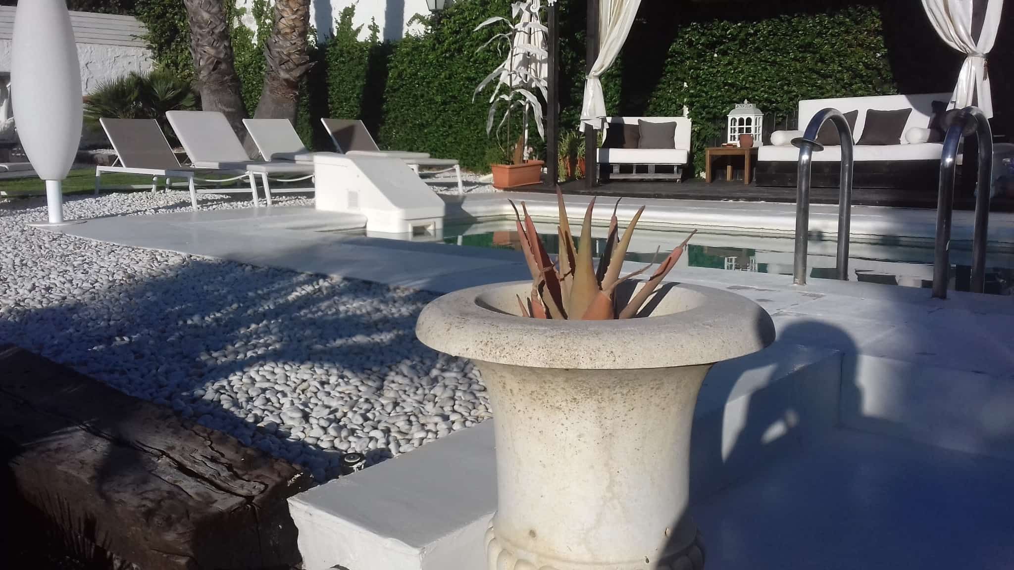 Una planta en maceta se encuentra frente a una piscina.