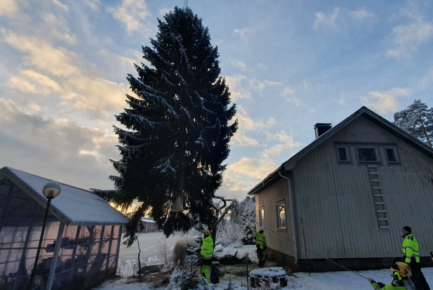 Luminen piha, jossa on korkea ikivihreä puu, taloja ja kaksi kirkkaisiin takkeihin pukeutunutta ihmistä hämärässä