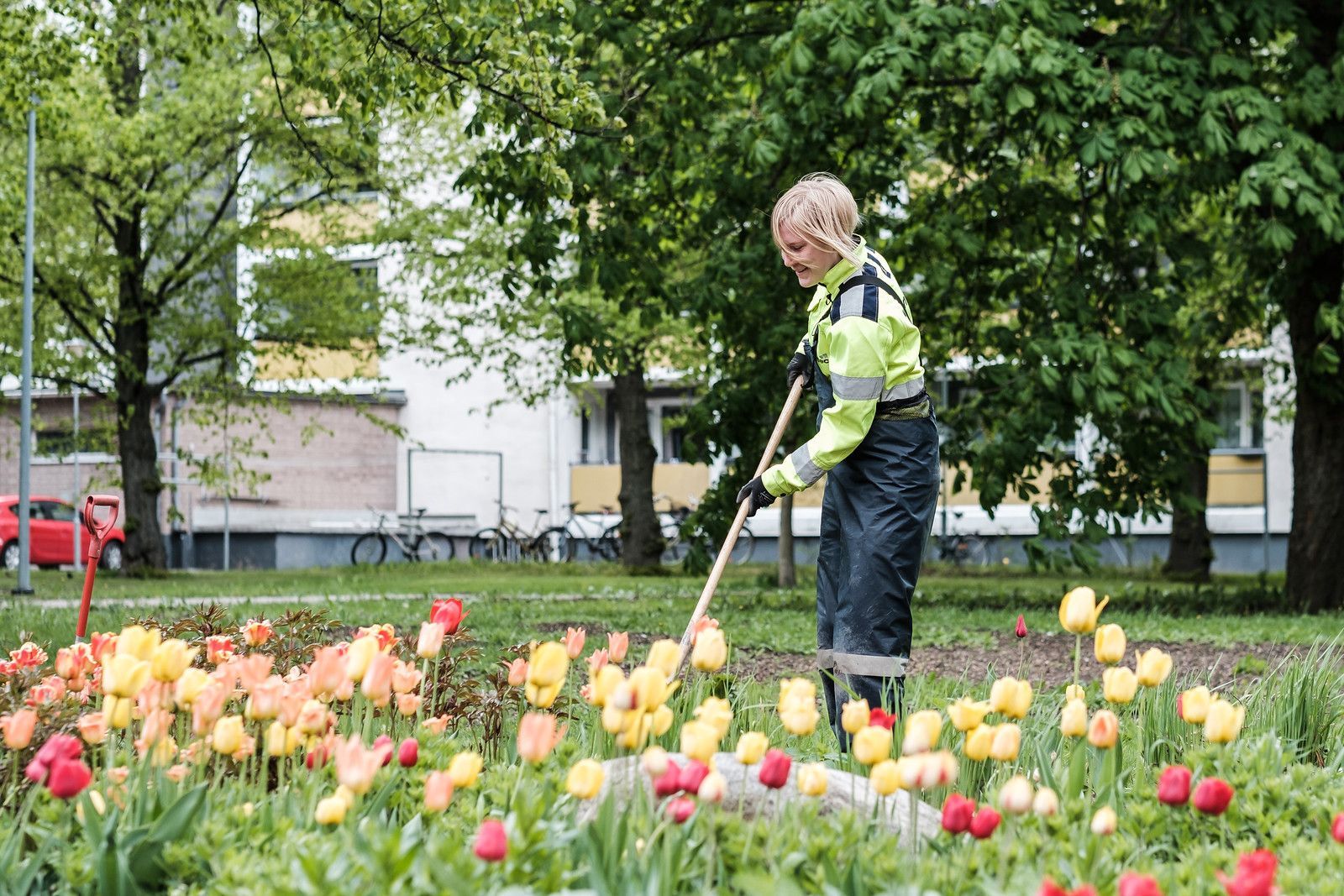 Henkilö leikkaa nurmikkoa kukkapenkin vieressä puistossa, jossa kasvaa värikkäitä tulppaaneja ja vihreitä puita