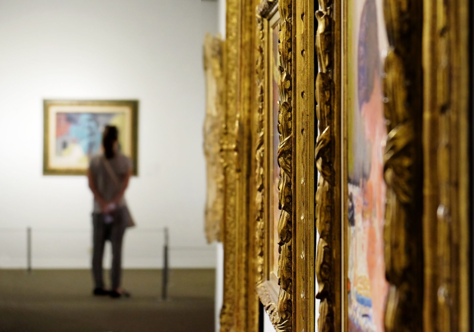 Galerie de musée avec des tableaux encadrés ; un visiteur flou se tient à l'arrière-plan.