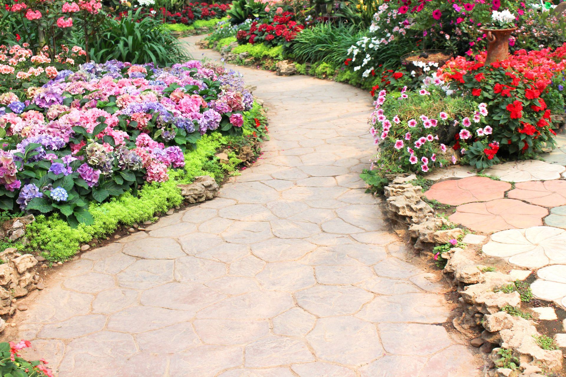 Jardin avec chemin pavé