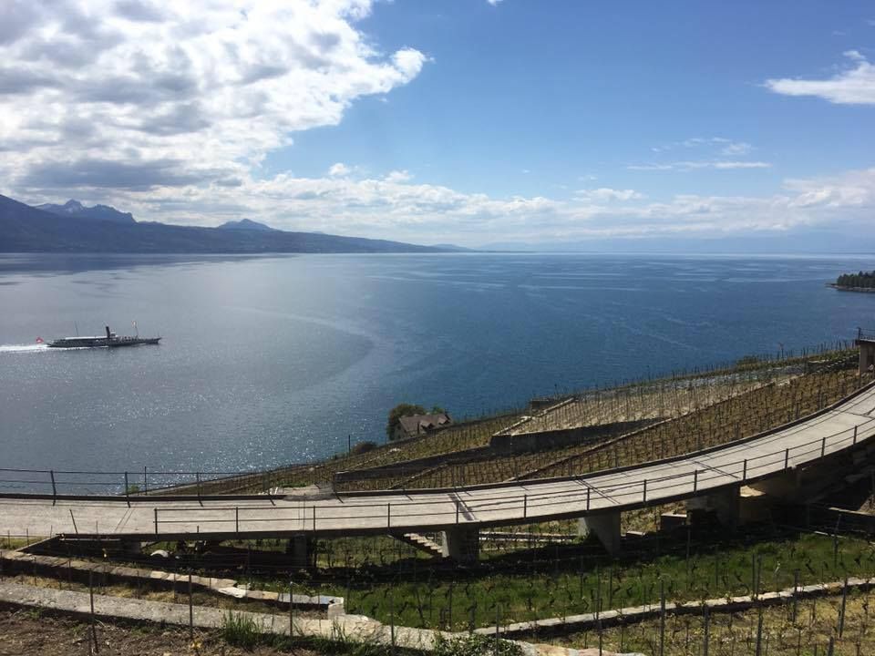 Tout pour la vigne - Cuénoud SA