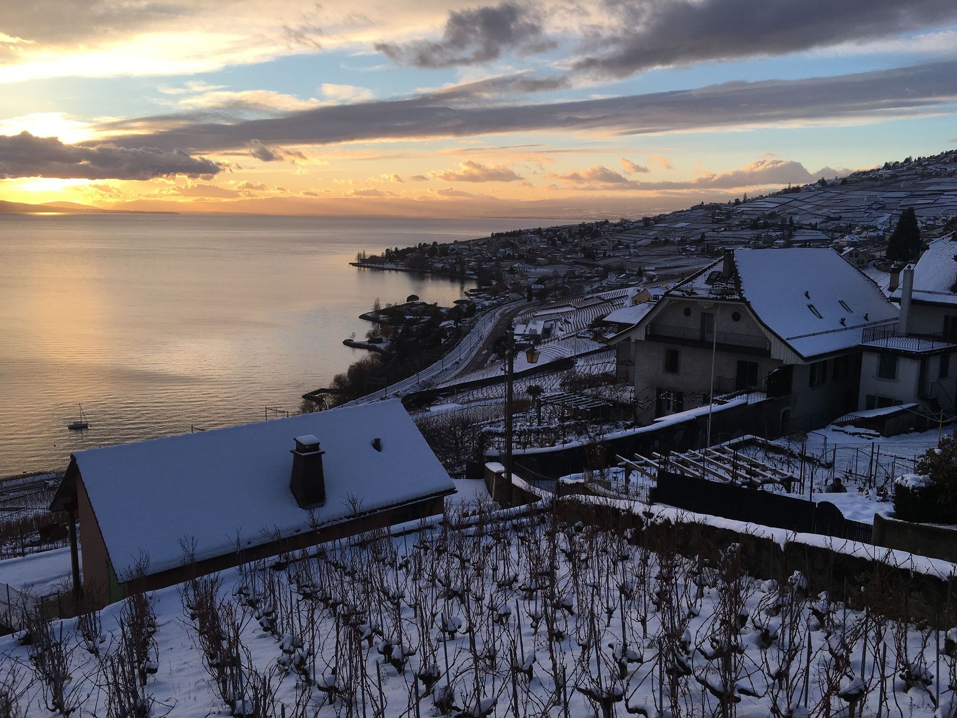 Tout pour la vigne - Cuénoud SA