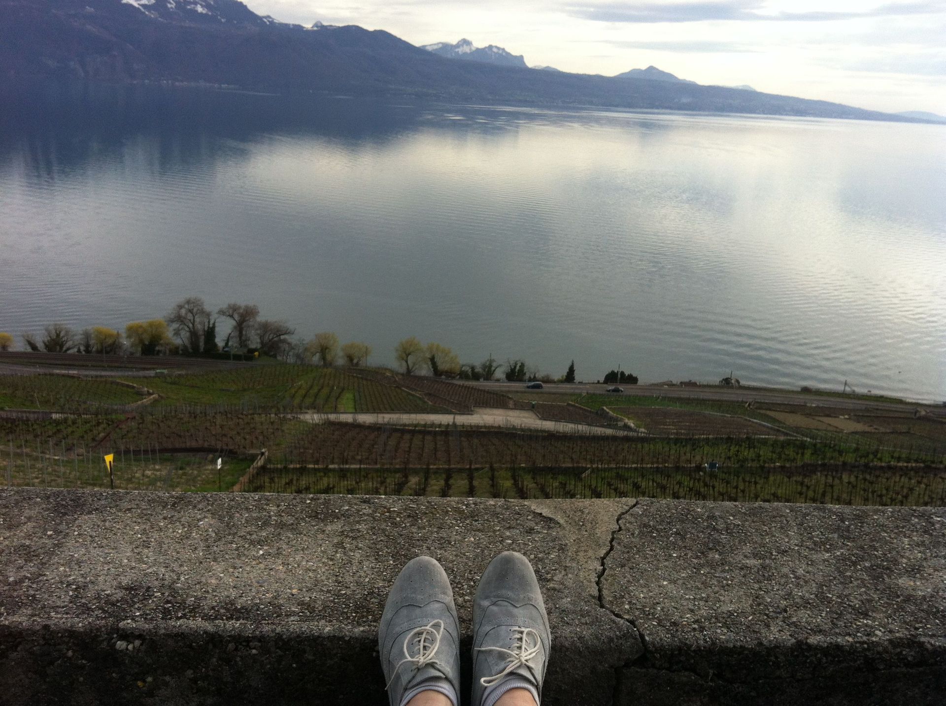 Tout pour la vigne - Cuénoud SA