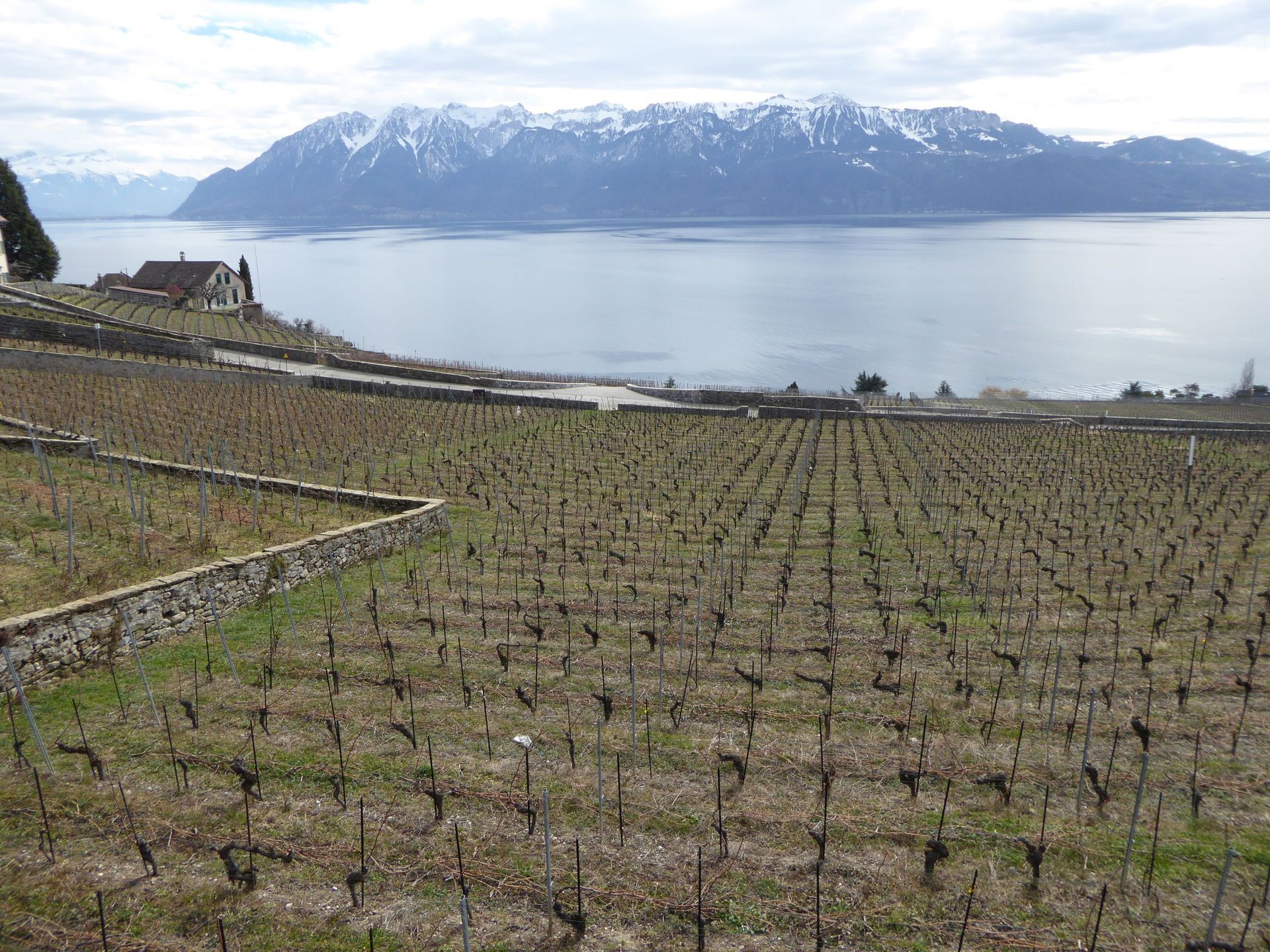 Matériel pour la vigne - Cuénoud SA