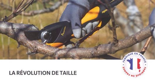 Protection vigne oiseaux - Cuénoud SA