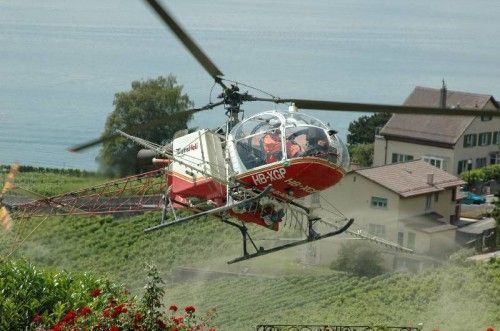 traitement vigne hélicoptère - Cuénoud SA