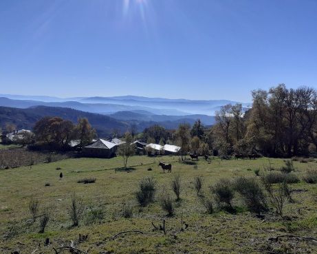 Colinas verdes onduladas con un caballo pastando, pequeños edificios y árboles bajo un cielo azul brillante.