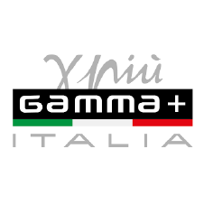 Logo Gamma Più