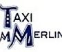 Logo Taxi M.Merlin
