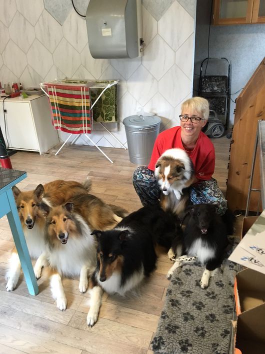 Hunde - Hundesalon Britta