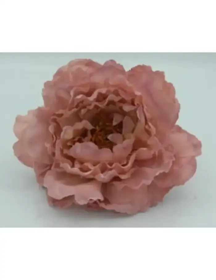 Flor de peonía rosa, con pétalos ondulados y centro detallado, sobre fondo blanco.