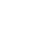 Icon Lotus