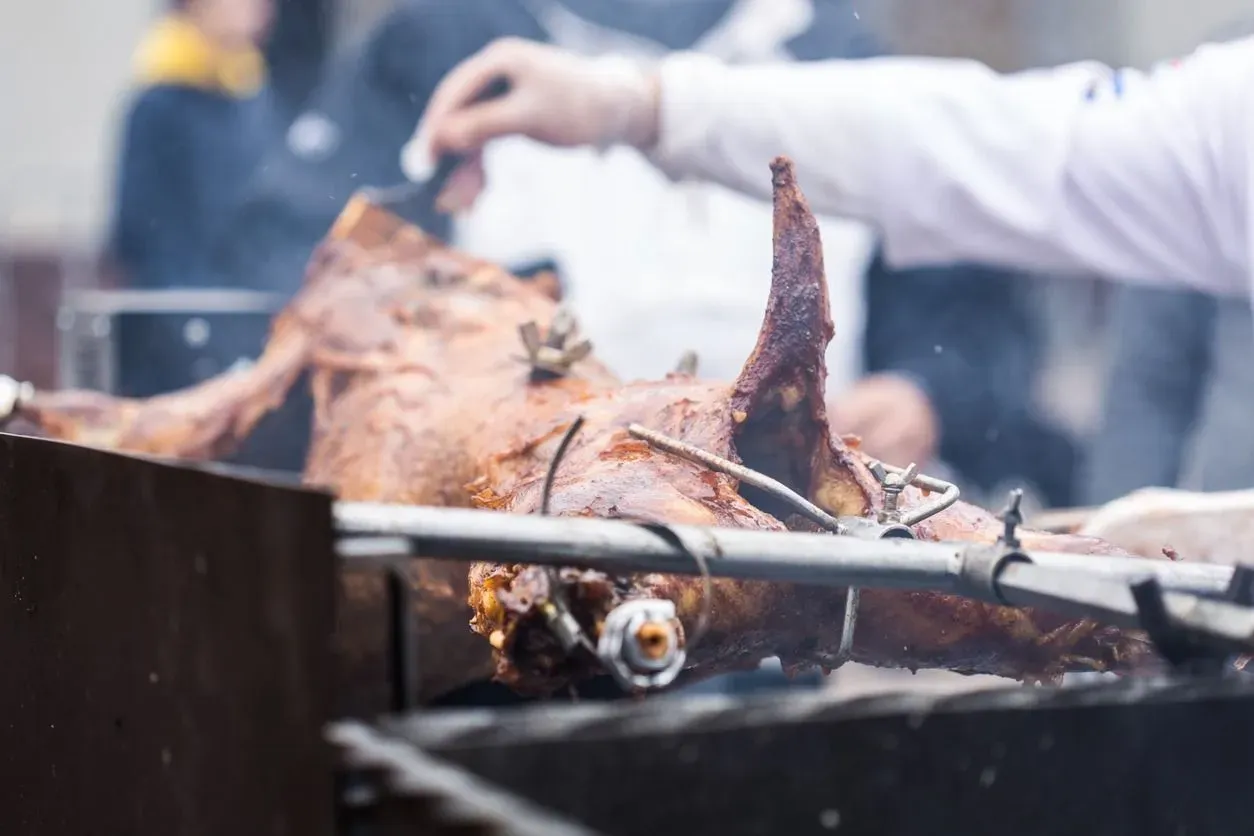 Cerdo entero asado al asador sobre parrilla de carbón, al aire libre.