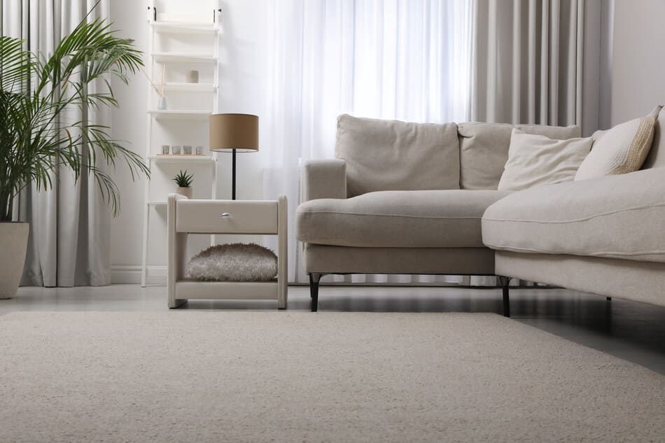 Una sala de estar con sofá, mesita de noche, lámpara y planta.