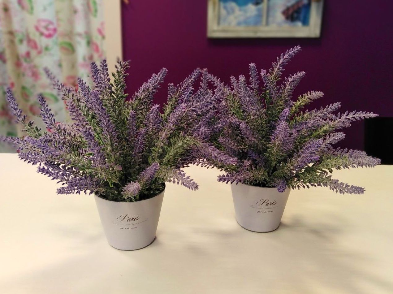 Dos plantas de lavanda en macetas sobre una mesa blanca, fondo morado.