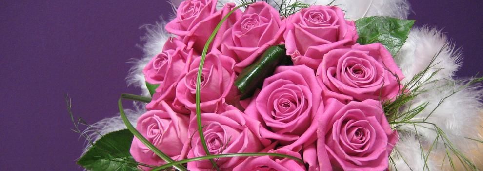 Ramo de rosas rosadas con vegetación y plumas blancas sobre un fondo violeta.
