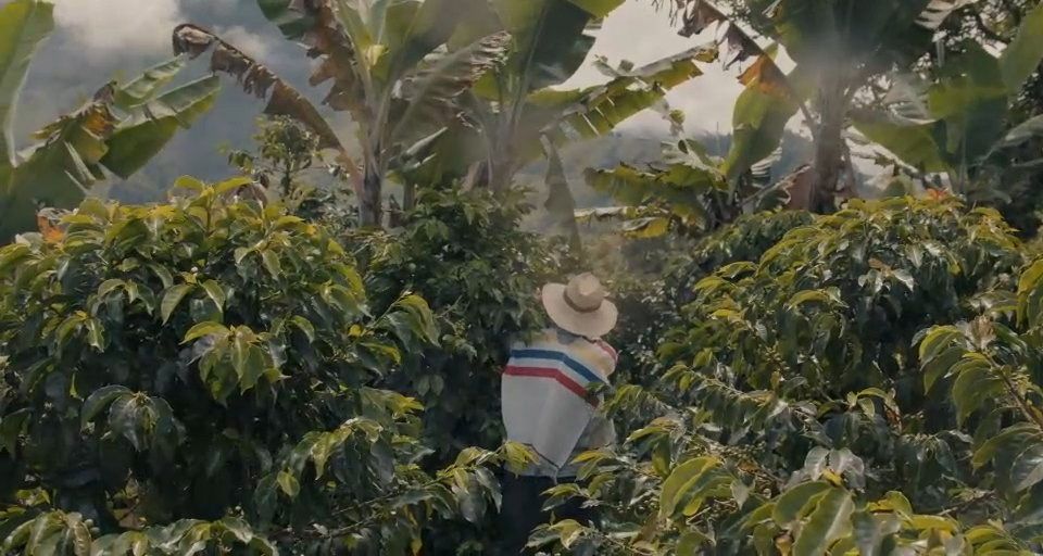 Kaffeerösterei Caffè l'amica