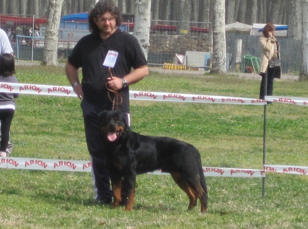 Un hombre está con un perro negro y fuego con correa en una exposición canina al aire libre.