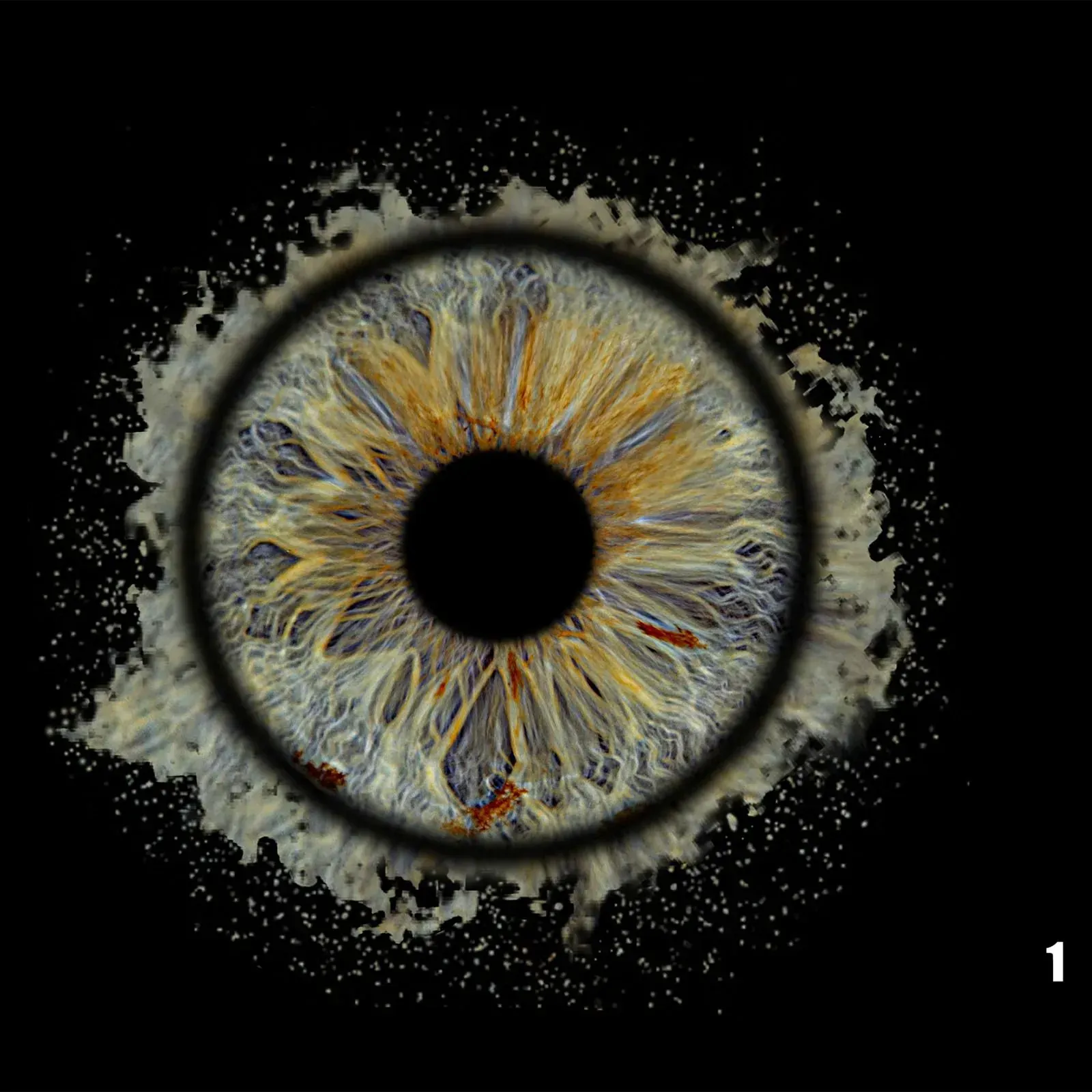 Nahaufnahme eines Auges mit einer braunen und blauen Iris, umgeben von einem Spritzer vor einem schwarzen Hintergrund.