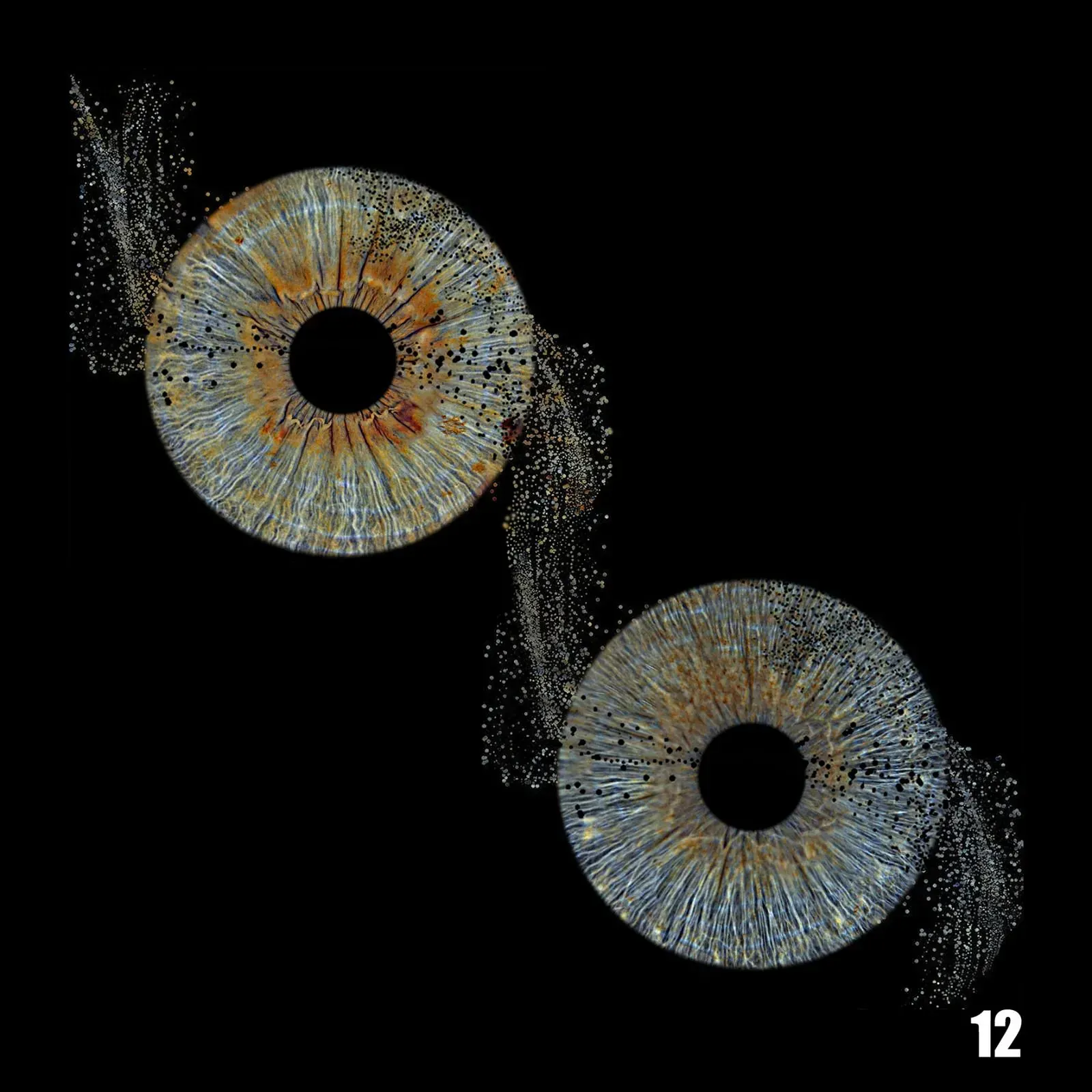 Zwei menschliche Iris, eine über der anderen, auf schwarzem Hintergrund. Die Iris ist bräunlich-gelb mit radialen Linien.